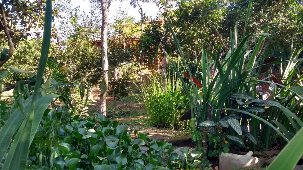 Ecohousing Gaia Terranova Hospedagem Eco Pet Friendly Piranguinho Dış mekan fotoğraf